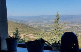 Ipati Forest Chalet - Foto 24