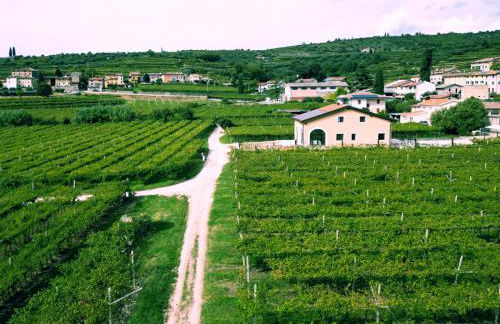 Agriturismo Igino - Relax fra i Vigneti della Valpolicella - Foto 34