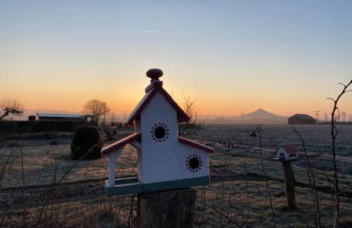 Finkennest am Desenberg - Foto 25