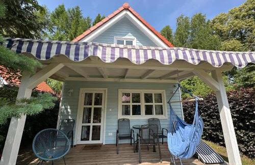 Kwiat Paproci - Foto 45