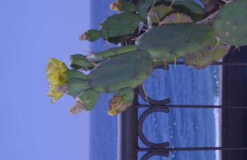 Casa di Mare Barabba - Foto 21