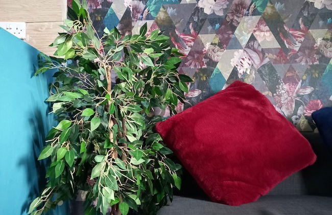 Stockton Moors - Foto 17