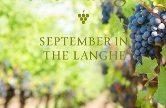 Tenuta MonteOliveto - Cottage Relax - Agriturismo nelle Langhe - Foto 12