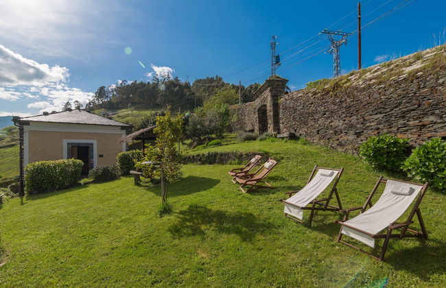 El Bosque de las Viñas - Foto 80