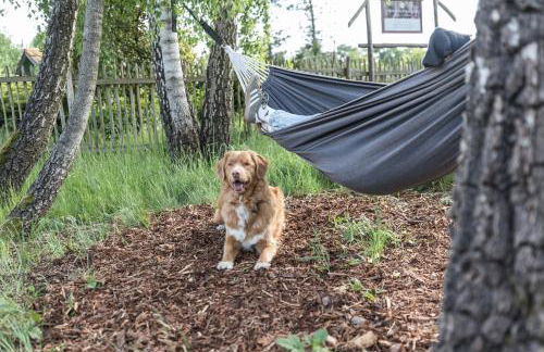 Fachwerk-Treppenspeicher, Ruhe auf dem Land, Haustiere willkommen, Leihfahrräder, 24-7 check in - Foto 46