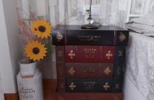 Dúplex Navarrería Estella UATO1004 - Foto 9