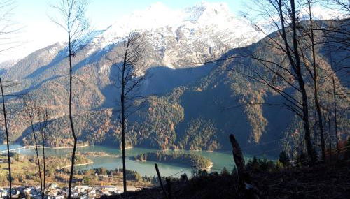 Appartamento Giada Pozzale di Pieve di Cadore(BL) - Foto 3