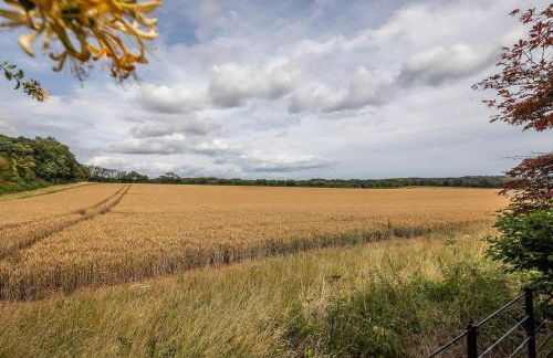 18th Century Cottage in Dorset Countryside - Foto 21