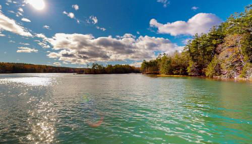 Birch Grove Cabin - Foto 5