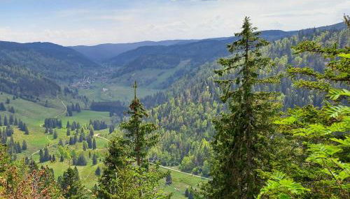 Daheim im Geissetal - Foto 4