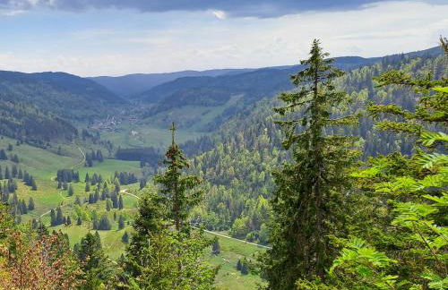 Daheim im Geissetal - Foto 4