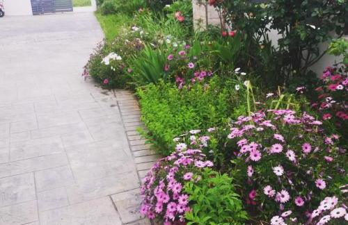 Dream House - Foto 20