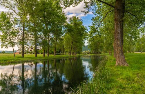 Guest House ANA - Photo 24