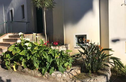 "L'olivadou" ST JEAN CAP FERRAT - Foto 22