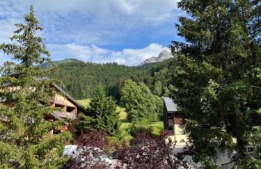 Cosy 2 pièces proche Châtel - Foto 34