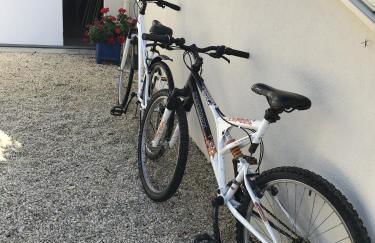 La Metairina - Foto 31