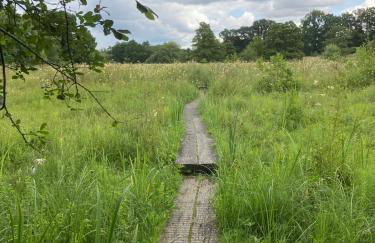 Unique Artists studio with a private garden. - Foto 26