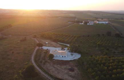 Quinta das Cestas - Agroturismo - Foto 14