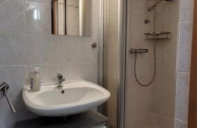 Sommerflieder - Foto 8