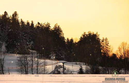 Ptaszkova PrzyStań - Photo 31