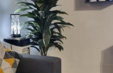 Apartamenty Morze on Sea - Photo 11