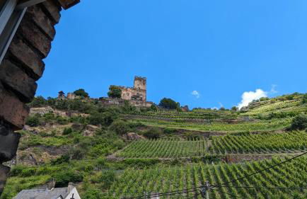 Rheinsteig-Ferienwohnungen 5 Apartments - Foto 13