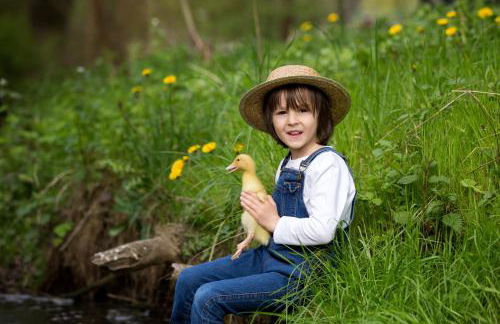 Landhaus im Rinnetal - Foto 104
