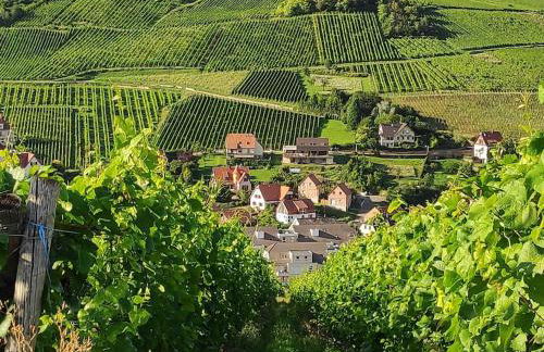 Villa sous le Tilleul - Photo 49