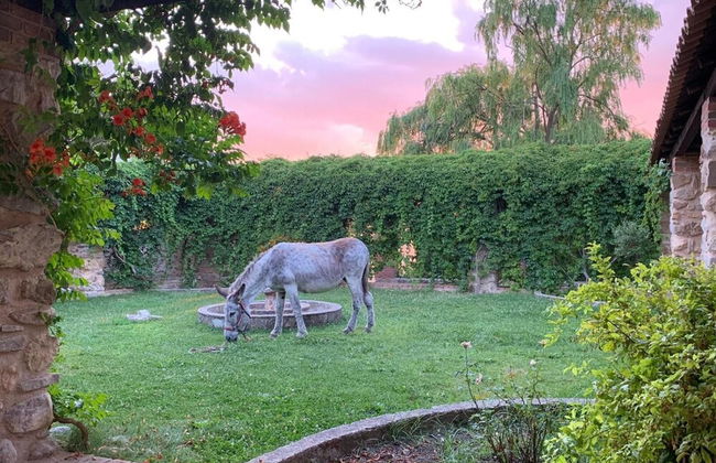 Giardino Donna Lavia - Foto 48