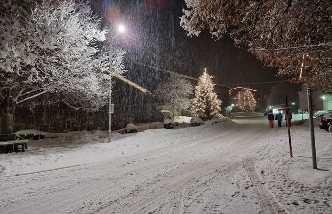 Das Taubenhaus - Foto 40