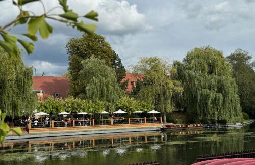 Haus Waldidyll am Briesensee - Foto 34