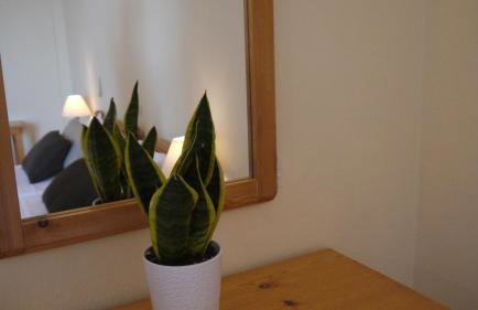 Fani Hotel - Foto 57