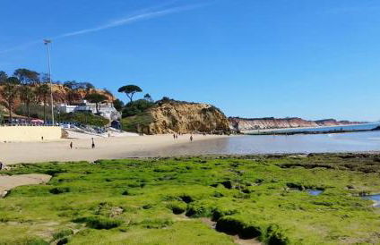 Vista das Ondas - AP - Foto 35