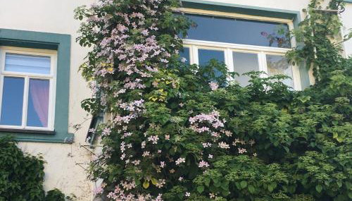 maison milabee - Foto 4, Garden