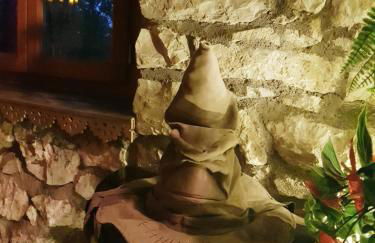 La Pensine du célèbre sorcier - Foto 50