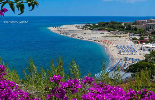 Zion Mare - Photo 15