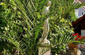 Haus Melzer - Foto 5