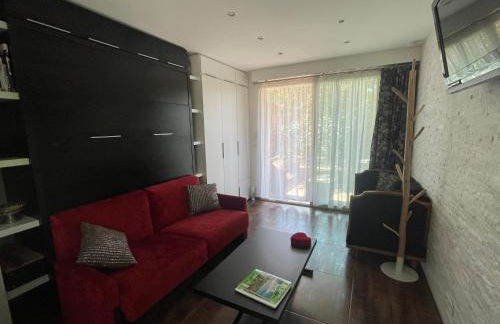 Studio tout confort au calme avec jardin proche Cannes - Foto 23