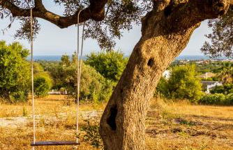 Quinta da Baleeira - Foto 64