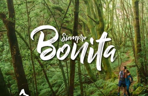 Vivienda Vacacional Tinisagua 3 - Foto 16