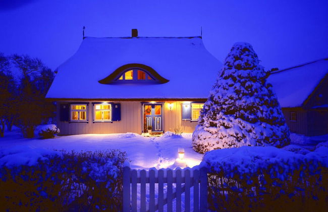 Captain House South Cats 8 - Photo 14