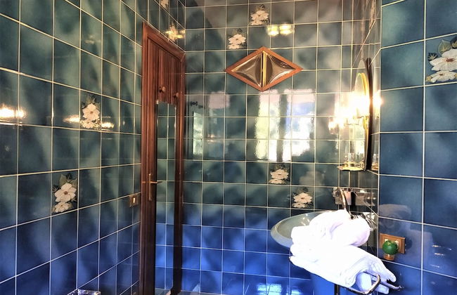 Pettirosso - Photo 22