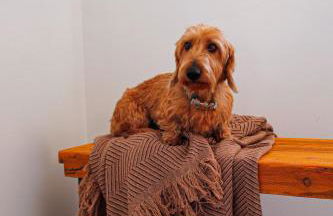 La Casa del Castell - Foto 29