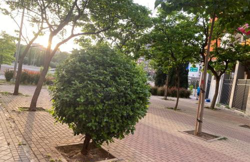 Cosmopolita Madrid zona Céntrica - Photo 14