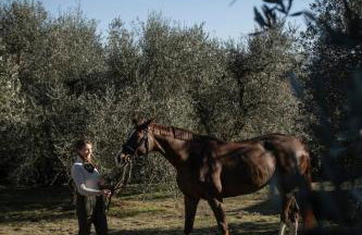 Fattoria la Loggia - Foto 100