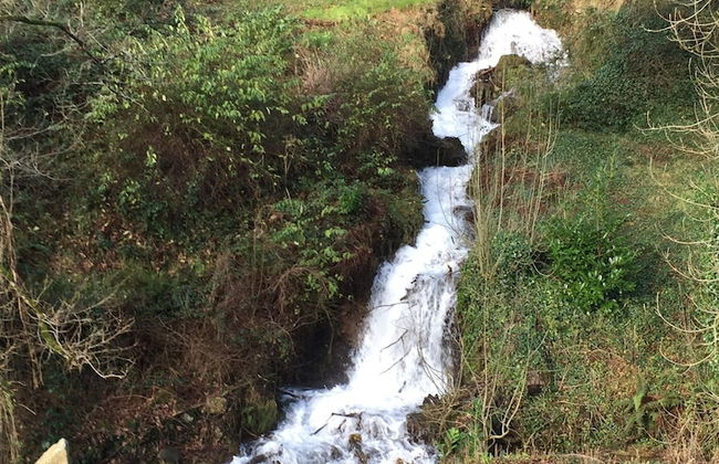 Lake View Villa - Rosecraddoc Manor - Foto 29