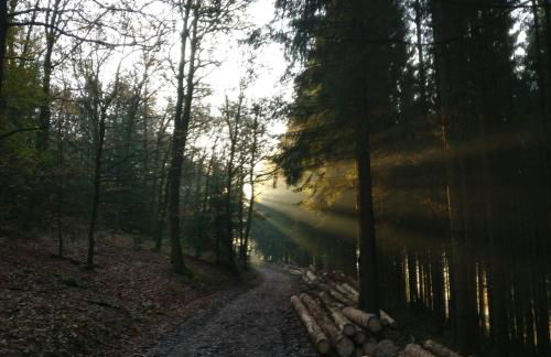 Ferienwohnung in Wilnsdorf OT Wilden neu erstellt & hochwertig - Foto 77