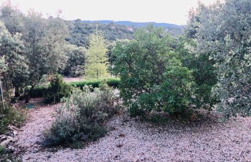 Villa La Quinta de Albalate Rural Home - Foto 65