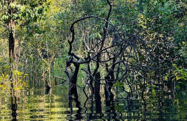 Casa ampla com jardim e 3 suítes em Novo Airão - Foto 42