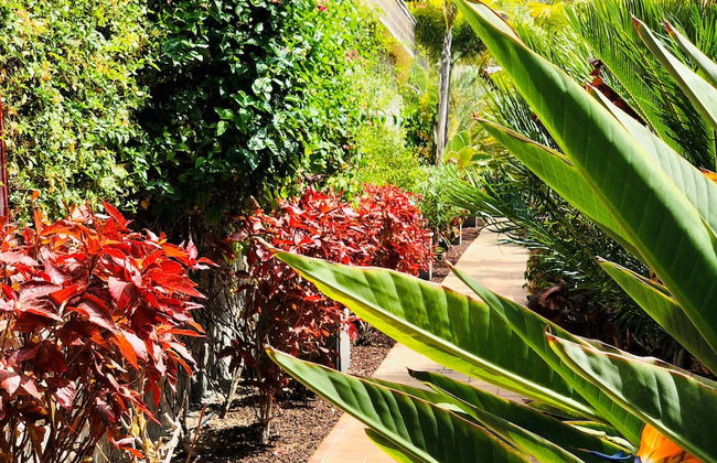 Holiday Club Playa Amadores - Foto 44